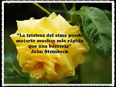 CITAS FRASES PENSAMIENTOS 222 (29)