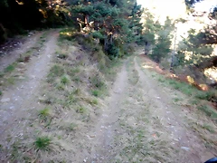 DSCN3877