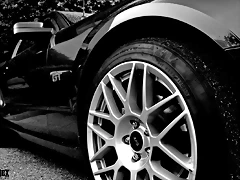 DSC_0651 DSC_0651