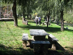 IMG_0546 IMG_0546