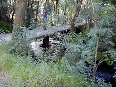 DSCN9729 DSCN9729