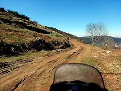 DSCN3715 DSCN3715