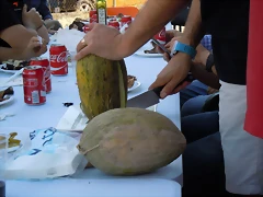 DSCN4049 DSCN4049
