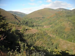 DSCN4285 DSCN4285