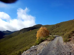 DSCN1376 DSCN1376