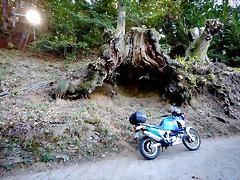DSCN7713 DSCN7713