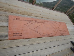 DSCN0181 DSCN0181