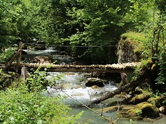 IMG_7700 IMG_7700