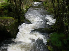 DSCN5788 DSCN5788