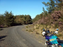 DSCN9044 DSCN9044