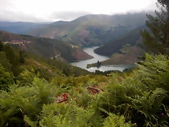 DSCN1280 DSCN1280