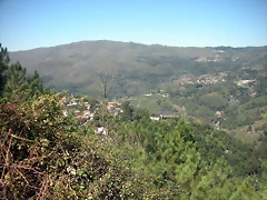 DSCN7803 DSCN7803