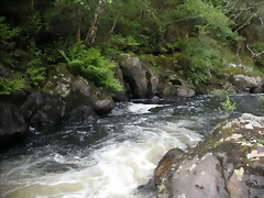 DSCN2759 DSCN2759