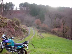 DSCN1184 DSCN1184