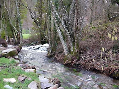 DSCN1191 DSCN1191