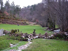DSCN1190 DSCN1190