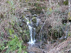 DSCN1188 DSCN1188
