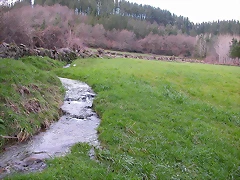 DSCN1189 DSCN1189