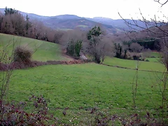 DSCN1203 DSCN1203