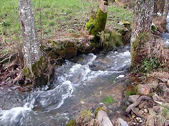 DSCN1193 DSCN1193