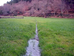 DSCN1194 DSCN1194