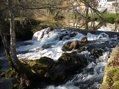 DSCN2131 DSCN2131
