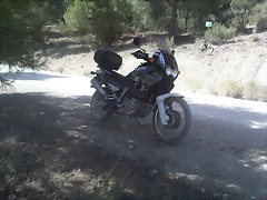 IMG005