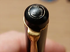 logo pelikan
