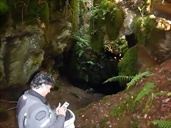 DSCN4221