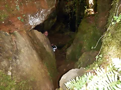 DSCN4220