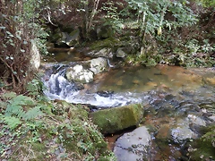 DSCN0495