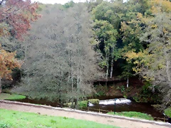 DSCN2992 DSCN2992