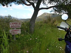 DSCN2251 DSCN2251