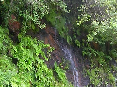 DSCN2232 DSCN2232