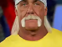 hulk-hogan