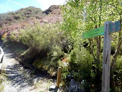 DSCN1017