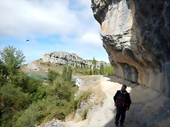 DSCN6537