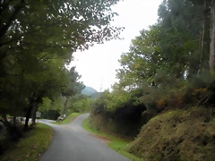DSCN9355 DSCN9355