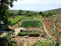 huerta en las pilas