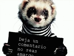 a1e90_comenta a1e90_comenta