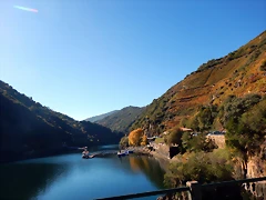 DSCN0908 DSCN0908