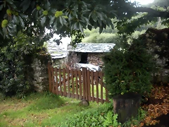 DSCN8362 DSCN8362