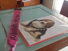 Regalo Mar?a 10 Regalo Mar?a 10