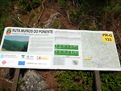 DSCN2446