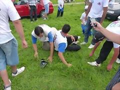 P1190841 P1190841