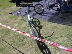 SDC13616 SDC13616