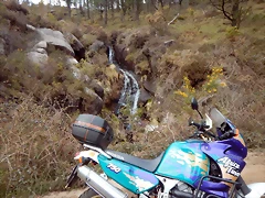 DSCN9562 DSCN9562