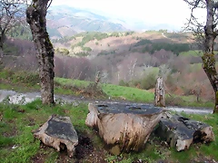 DSCN7855 DSCN7855