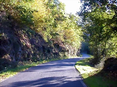 DSCN6496 DSCN6496