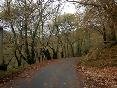 DSCN2903 DSCN2903